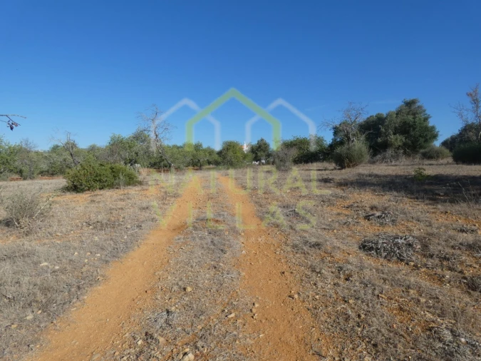 Terreno Misto para Venda em Faro (Sé e São Pedro) Foto 3