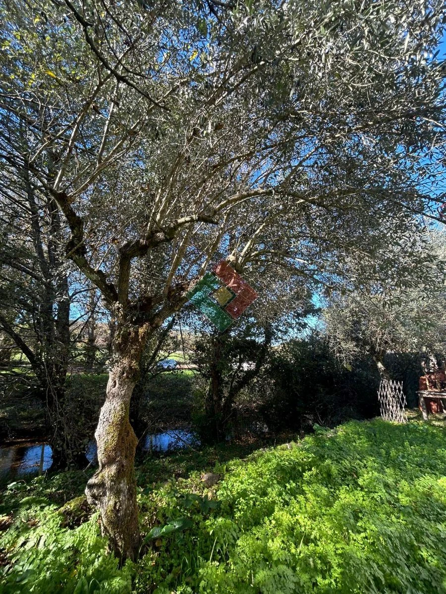 Moradia T3 para Venda em São Salvador da Aramenha Foto 6