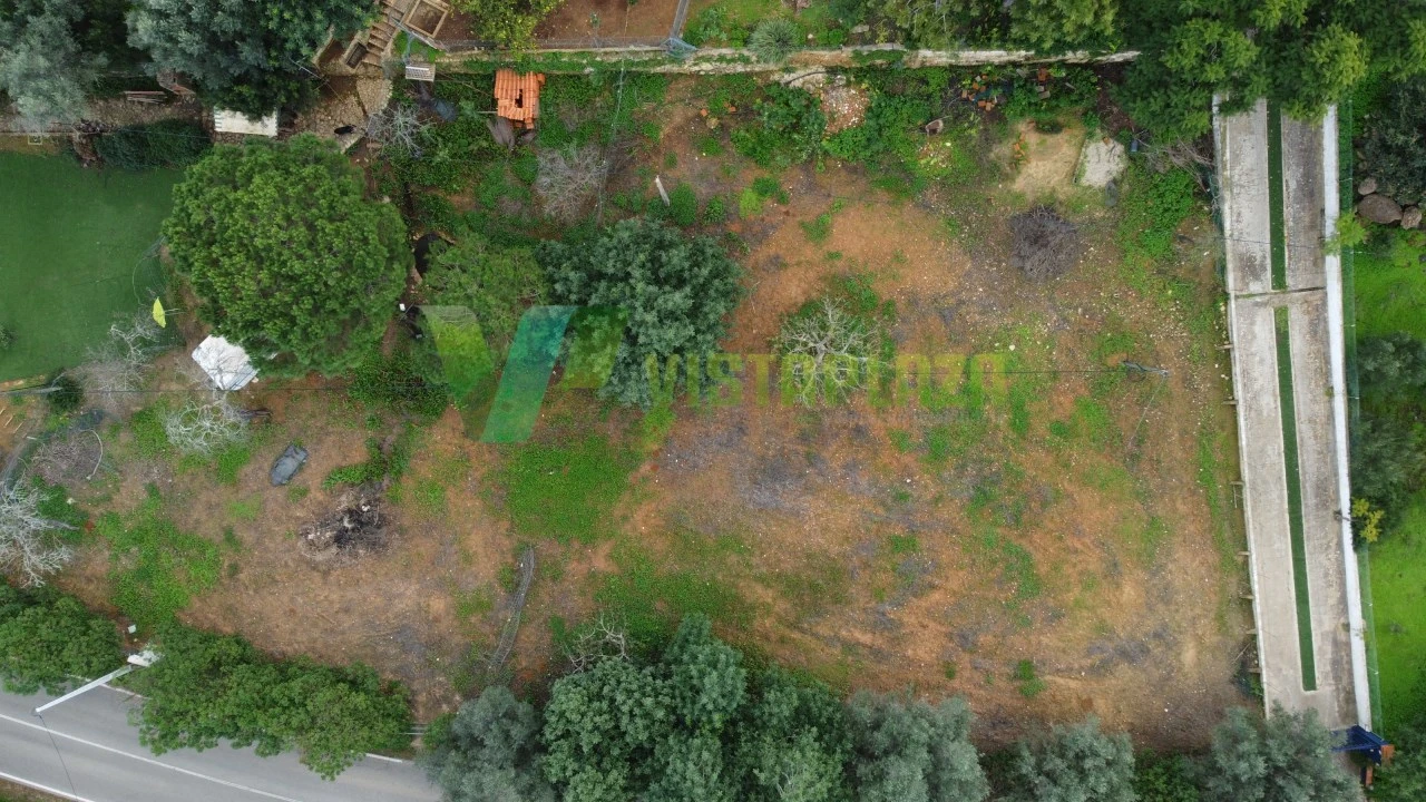 Terreno P/ Prédio para Venda em Alcantarilha e Pêra Foto 4