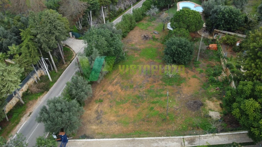 Terreno P/ Prédio para Venda em Alcantarilha e Pêra Foto 3