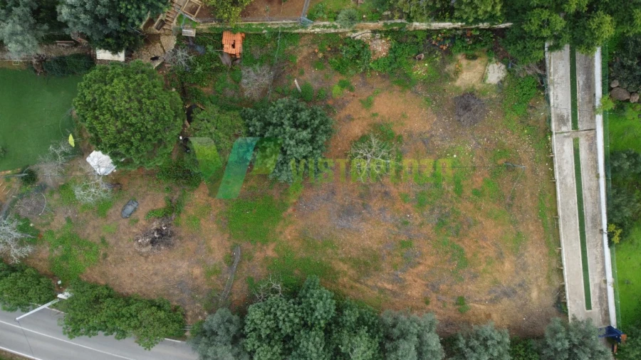 Terreno P/ Prédio para Venda em Alcantarilha e Pêra Foto 4