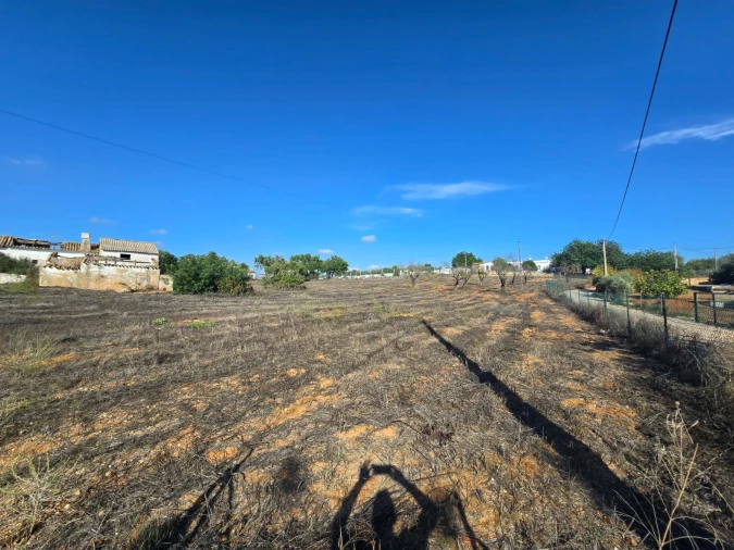 Terreno para Venda em Quelfes Foto 3