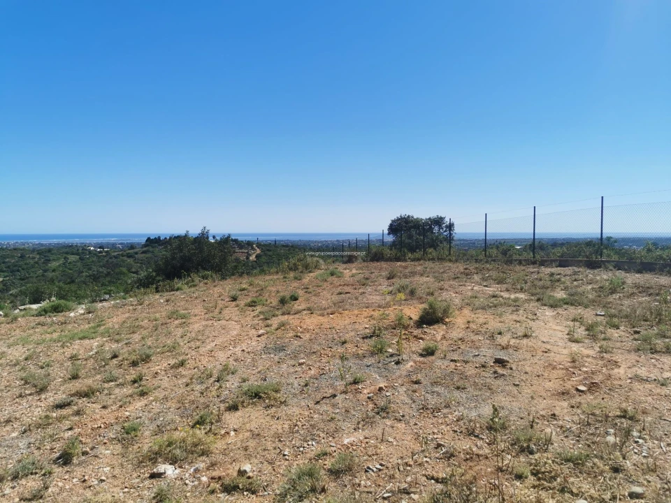Terreno Agricola ou Rústico para Venda em Moncarapacho e Fuseta Foto 5