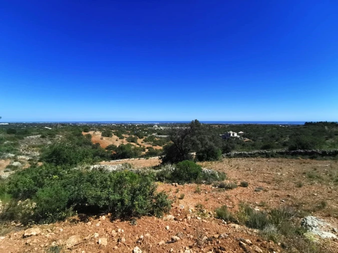 Terreno Agricola ou Rústico para Venda em Moncarapacho e Fuseta Foto 7