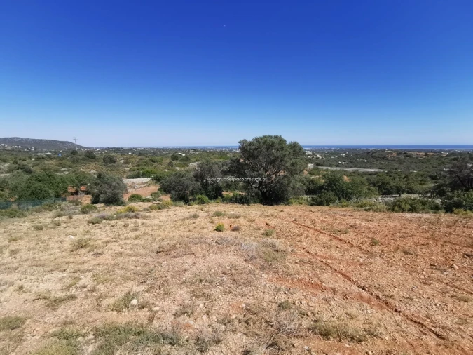 Terreno Agricola ou Rústico para Venda em Moncarapacho e Fuseta Foto 3