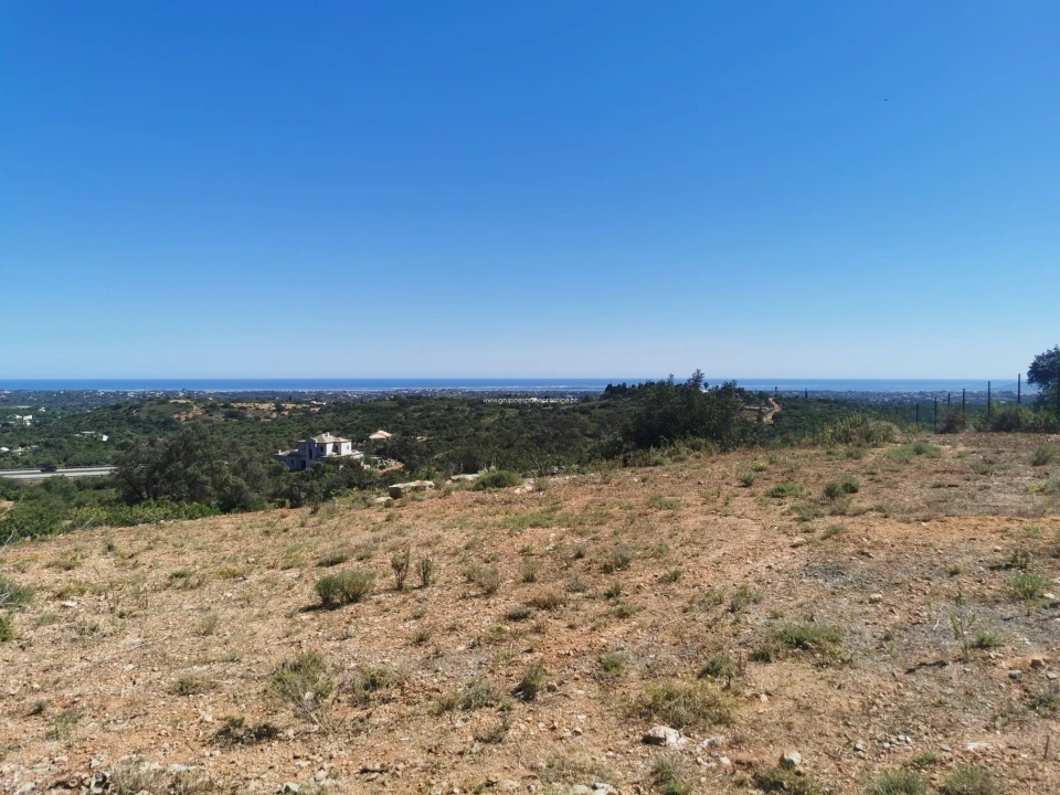 Terreno Agricola ou Rústico para Venda em Moncarapacho e Fuseta Foto 4