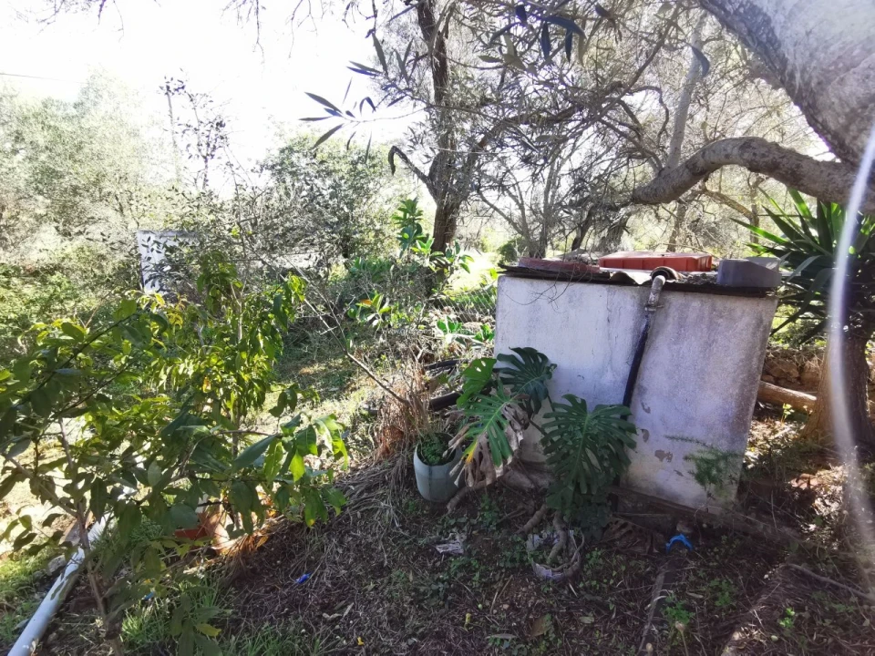 Moradia T0 para Venda em Quelfes Foto 22