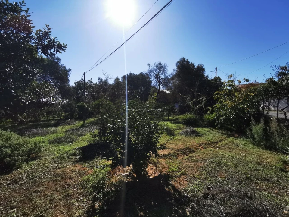 Moradia T0 para Venda em Quelfes Foto 21