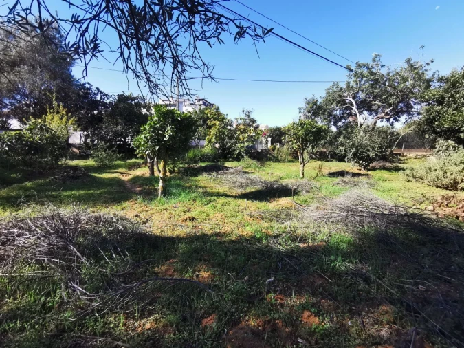 Moradia T0 para Venda em Quelfes Foto 20