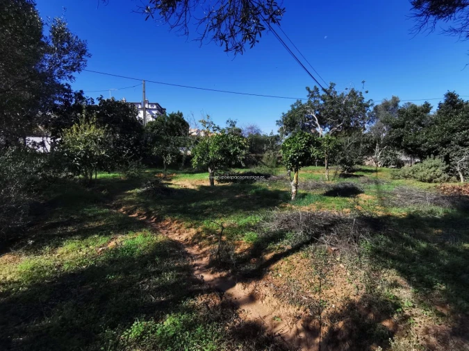 Moradia T0 para Venda em Quelfes Foto 19