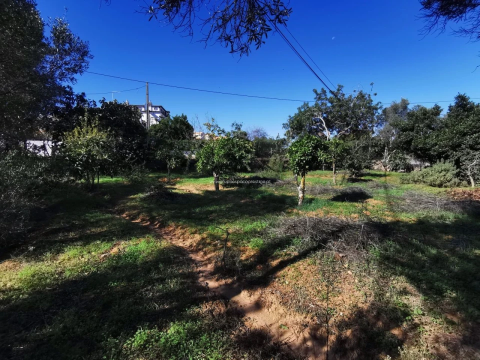 Moradia T0 para Venda em Quelfes Foto 19