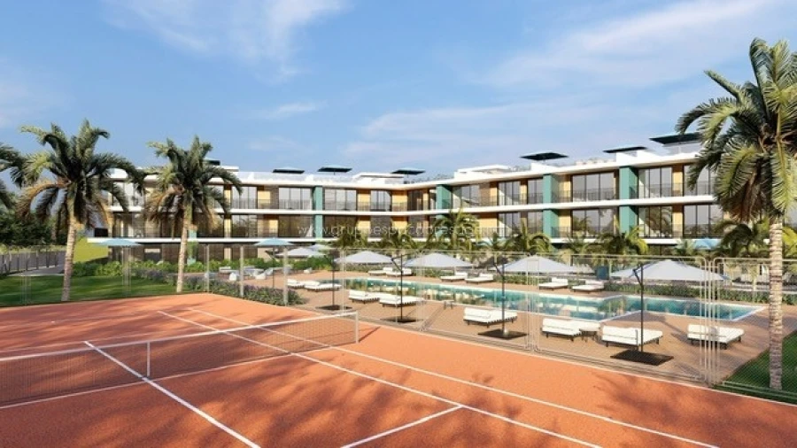 Terreno para Venda em Quelfes Foto 5