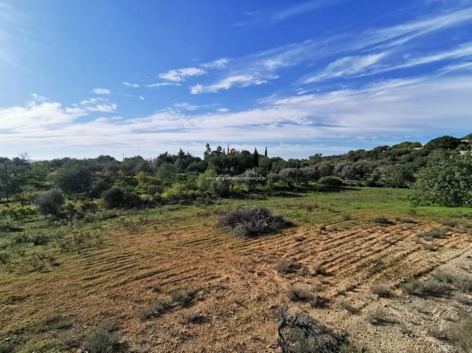 Terreno Agricola ou Rústico para Venda em Moncarapacho e Fuseta Foto 3