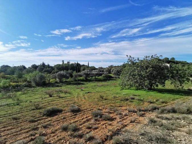 Terreno Agricola ou Rústico para Venda em Moncarapacho e Fuseta Foto 2