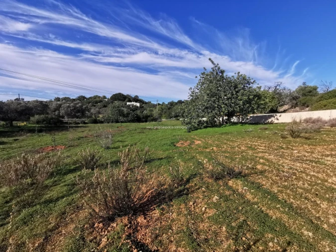 Terreno Agricola ou Rústico para Venda em Moncarapacho e Fuseta Foto 5