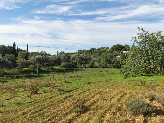 Terreno Agricola ou Rústico para Venda em Moncarapacho e Fuseta Foto 6