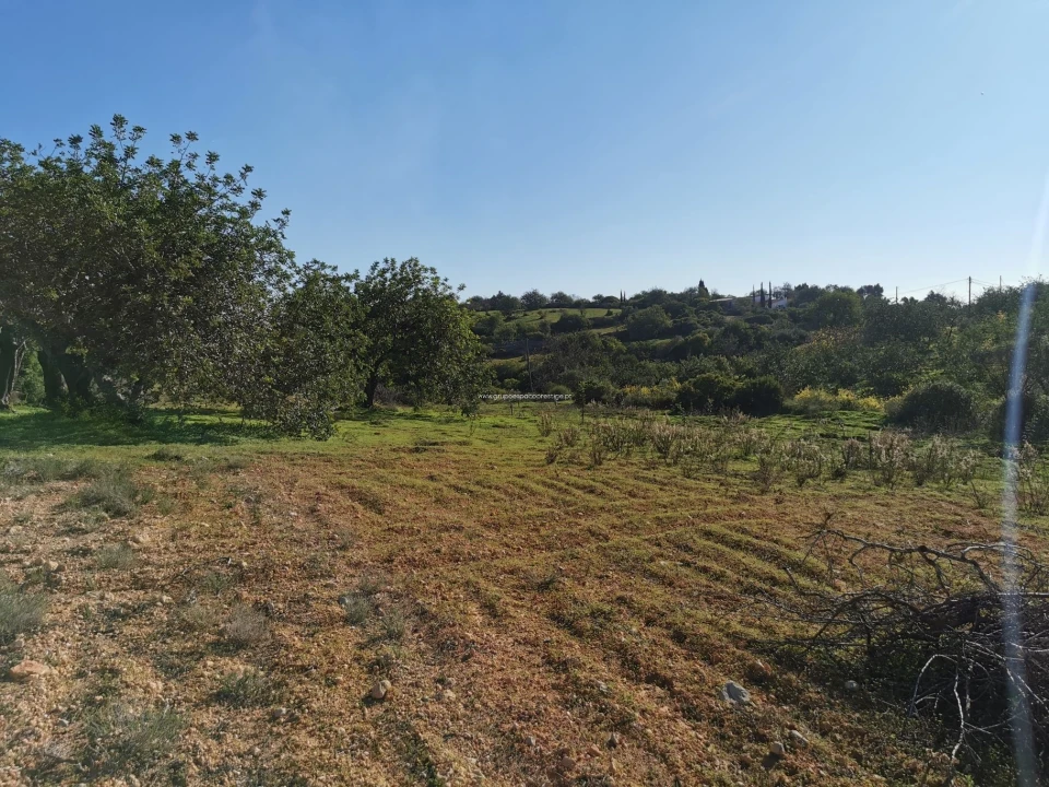 Terreno Agricola ou Rústico para Venda em Moncarapacho e Fuseta Foto 7