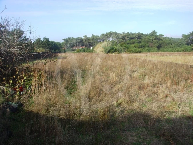 Terreno para Venda em Apúlia e Fão Foto 3