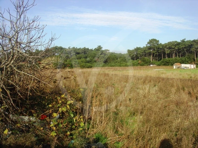 Terreno para Venda em Apúlia e Fão Foto 5