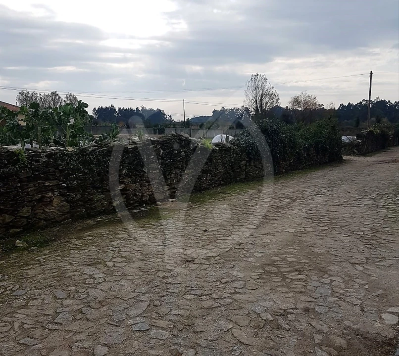 Terreno para Venda em Fonte Boa e Rio Tinto Foto 2