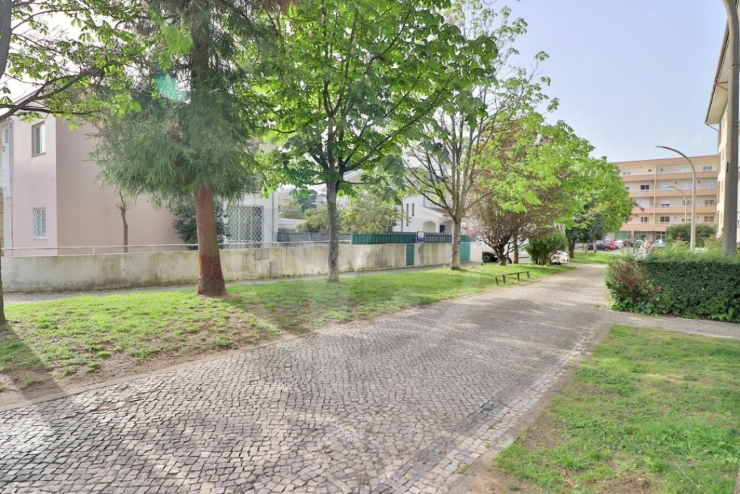 Terreno para Venda em Palmeira Foto 6