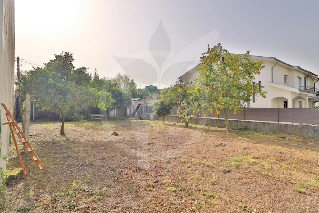 Terreno para Venda em Palmeira Foto 8