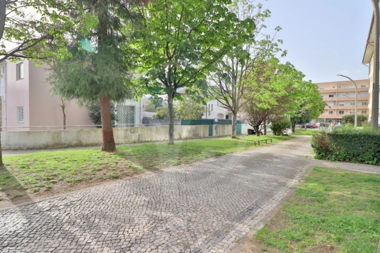 Terreno para Venda em Palmeira Foto 6