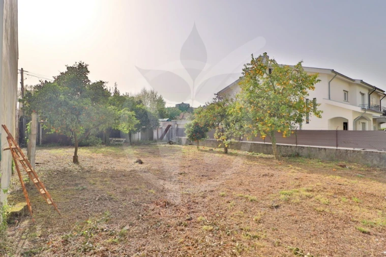 Terreno para Venda em Palmeira Foto 8