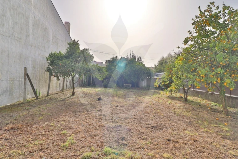 Terreno para Venda em Palmeira Foto 9