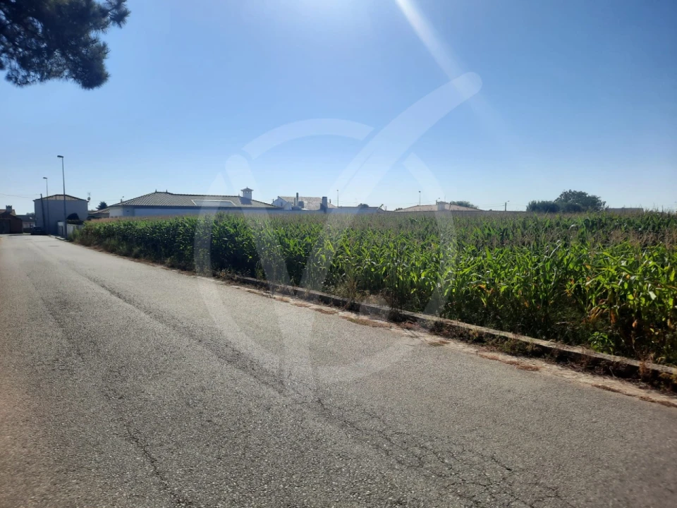 Terreno para Venda em Estela Foto 2