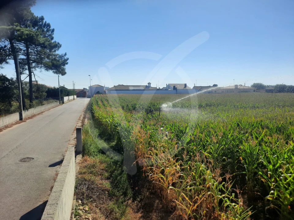 Terreno para Venda em Estela Foto 3