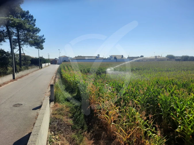 Terreno para Venda em Estela Foto 3