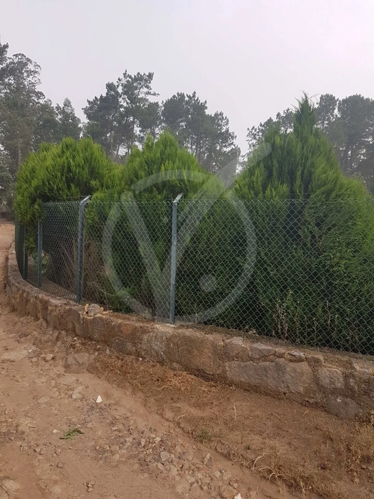 Terreno para Venda em Milhazes, Vilar de Figos e Faria Foto 6