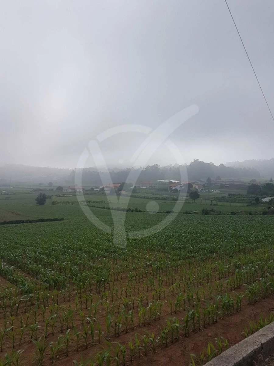 Terreno para Venda em Milhazes, Vilar de Figos e Faria Foto 2