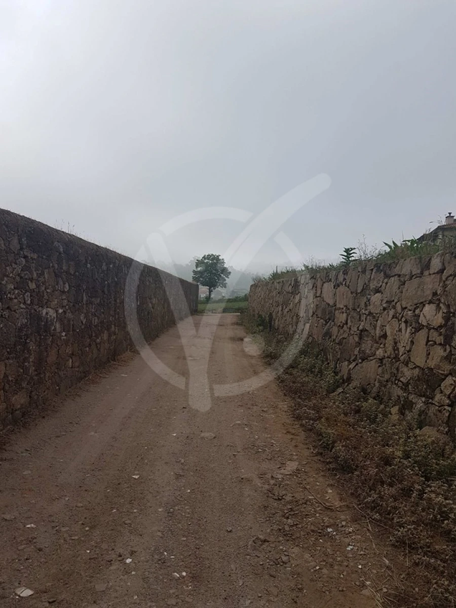 Terreno para Venda em Milhazes, Vilar de Figos e Faria Foto 4