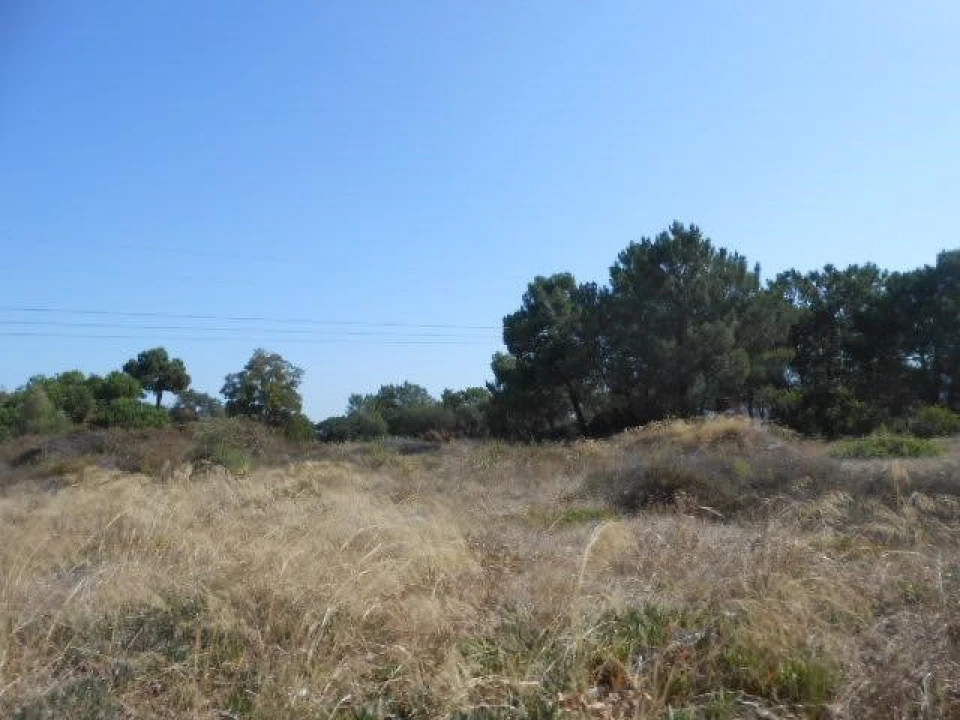Terreno para Venda em Santo Antonio da Charneca Foto 9
