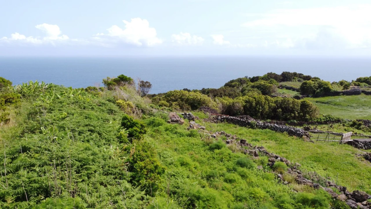 Terreno Agricola ou Rústico para Venda em Calheta de Nesquim Foto 10