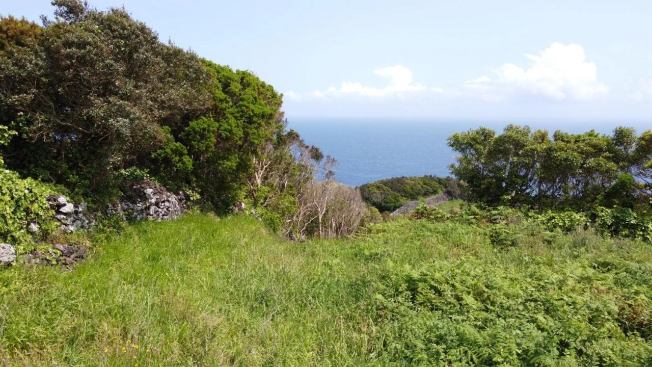Terreno Agricola ou Rústico para Venda em Calheta de Nesquim Foto 12