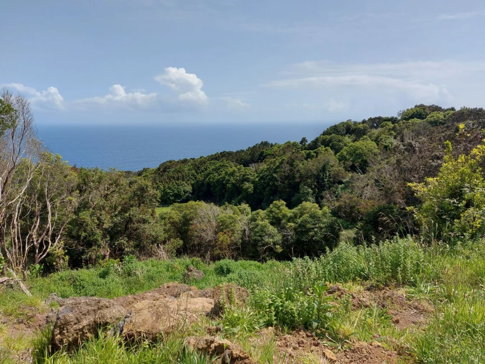 Terreno Agricola ou Rústico para Venda em Calheta de Nesquim Foto 3