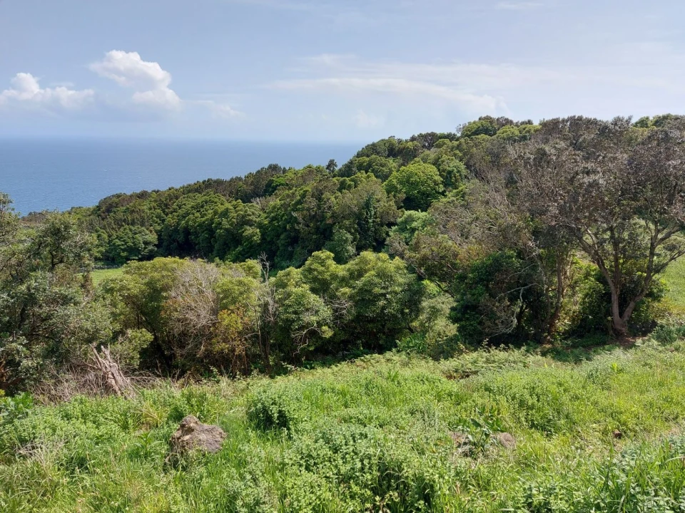 Terreno Agricola ou Rústico para Venda em Calheta de Nesquim Foto 4
