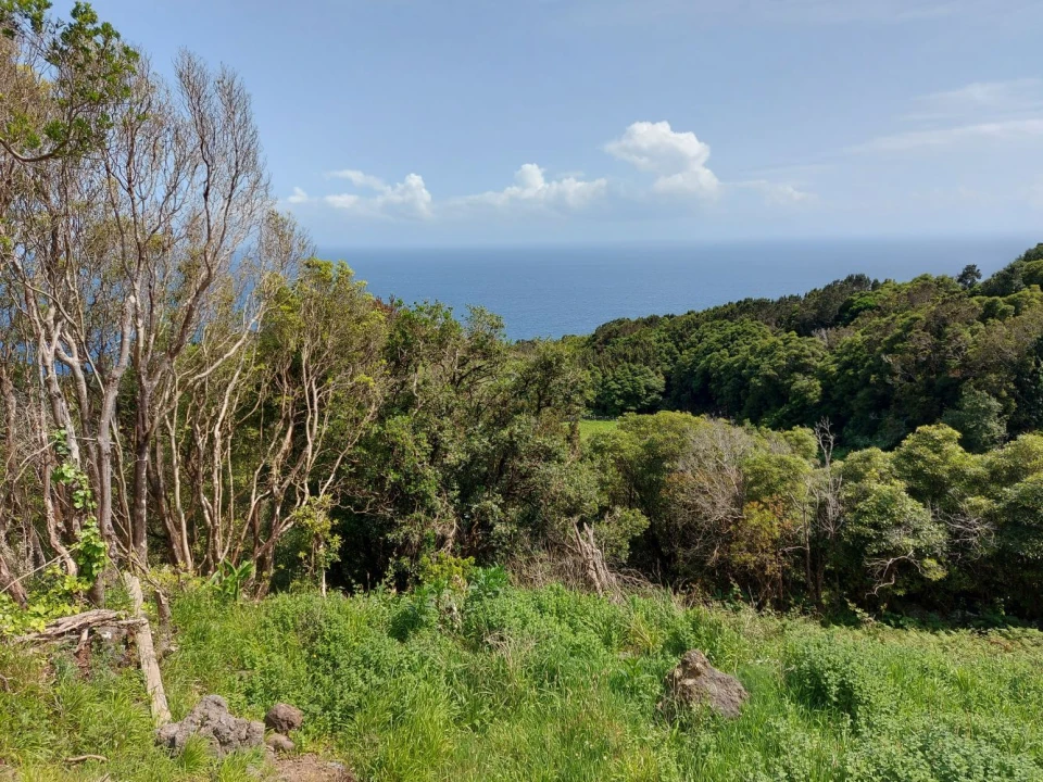 Terreno Agricola ou Rústico para Venda em Calheta de Nesquim Foto 5