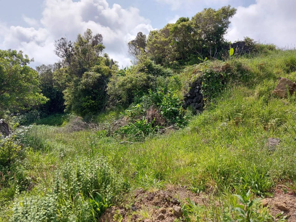 Terreno Agricola ou Rústico para Venda em Calheta de Nesquim Foto 6