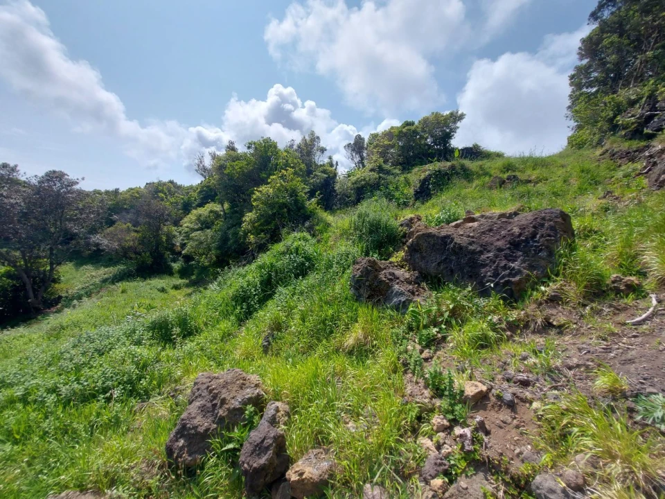 Terreno Agricola ou Rústico para Venda em Calheta de Nesquim Foto 7
