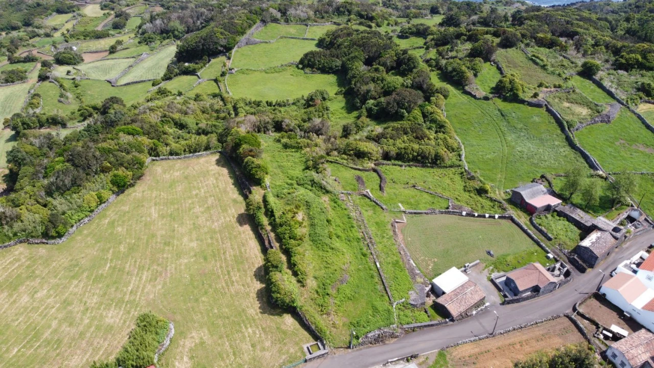 Terreno Agricola ou Rústico para Venda em Calheta de Nesquim Foto 8