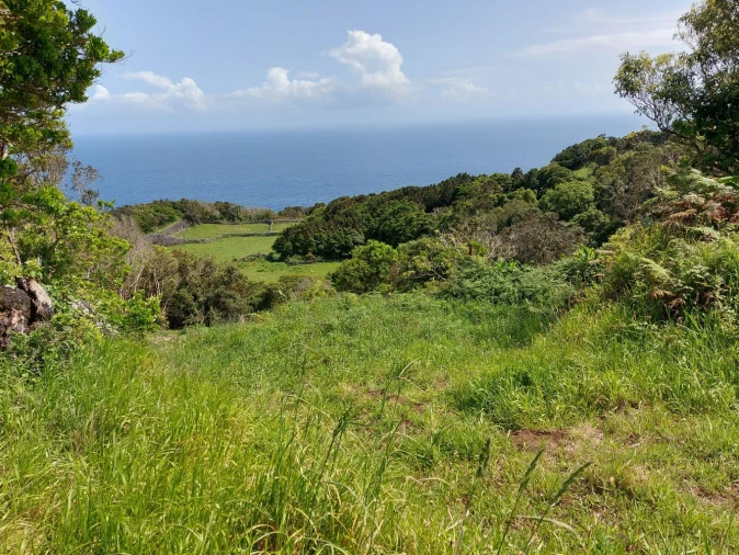 Terreno Agricola ou Rústico para Venda em Calheta de Nesquim