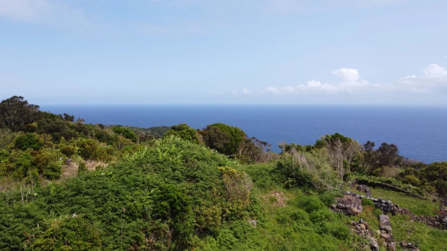 Terreno Agricola ou Rústico para Venda em Calheta de Nesquim Foto 11