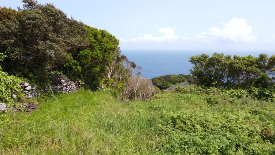 Terreno Agricola ou Rústico para Venda em Calheta de Nesquim Foto 12