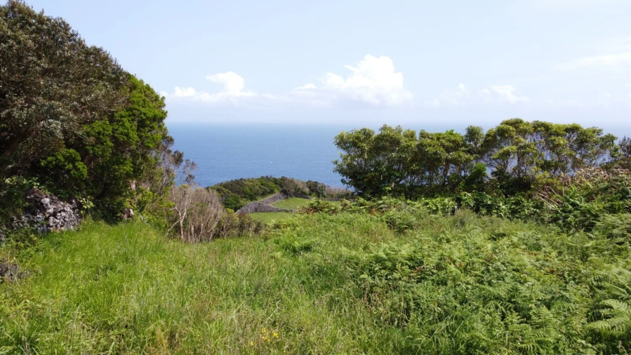 Terreno Agricola ou Rústico para Venda em Calheta de Nesquim Foto 13