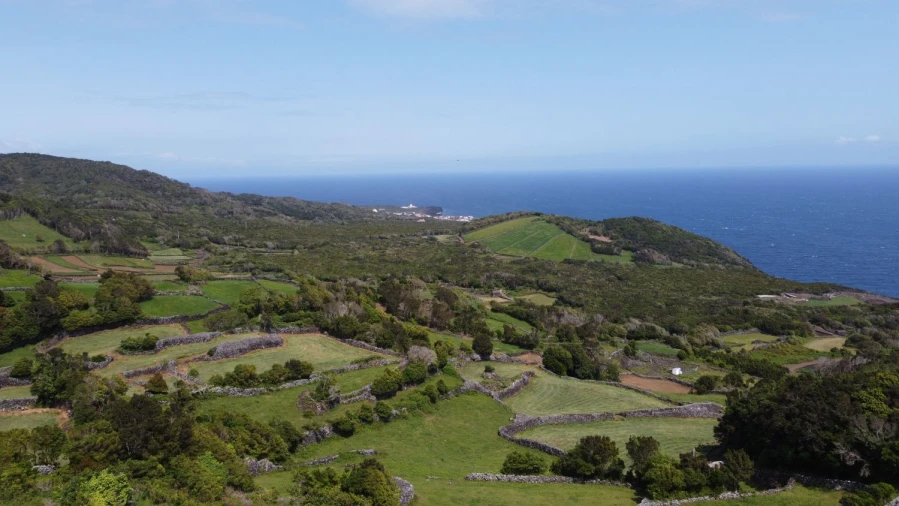 Terreno Agricola ou Rústico para Venda em Calheta de Nesquim Foto 14