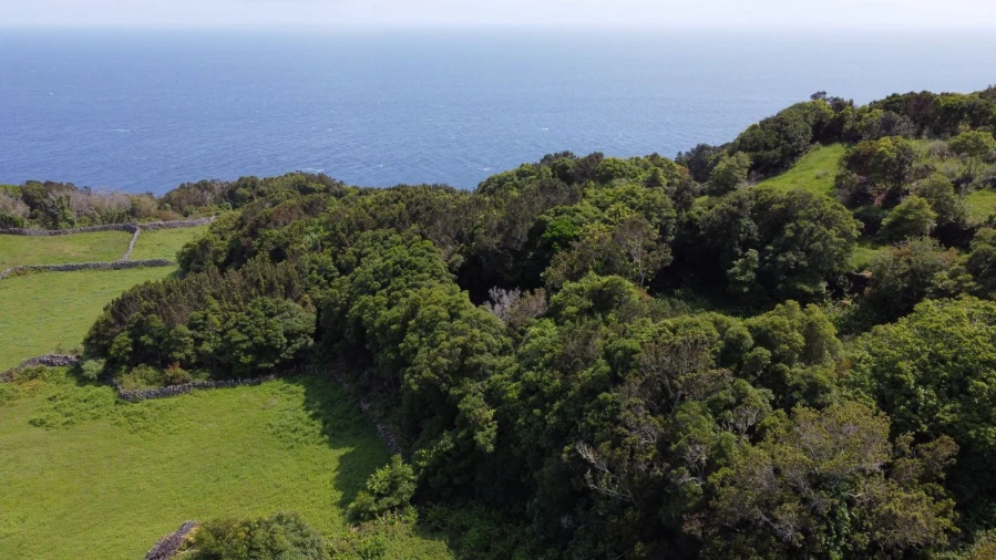 Terreno Agricola ou Rústico para Venda em Calheta de Nesquim Foto 16